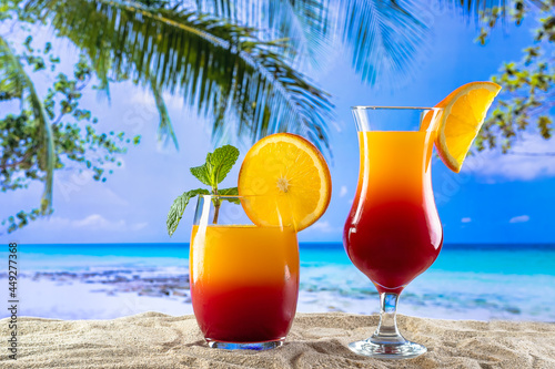 two glasses with a drink sex on the beach on the sand and a beach paradise in the background