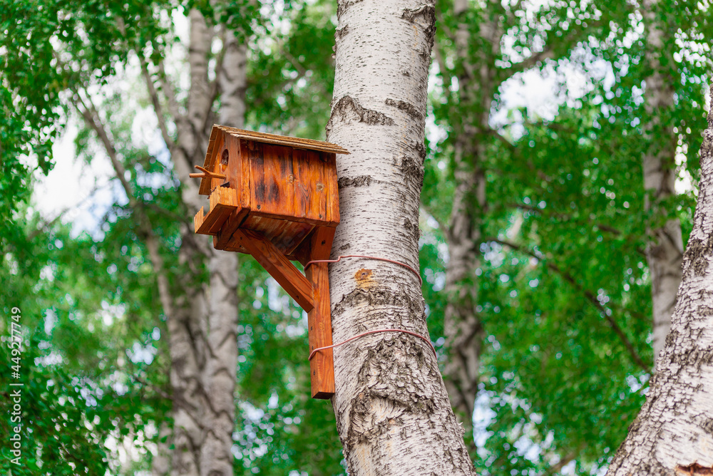 Birdhouse on a large tree. A house for forest birds.