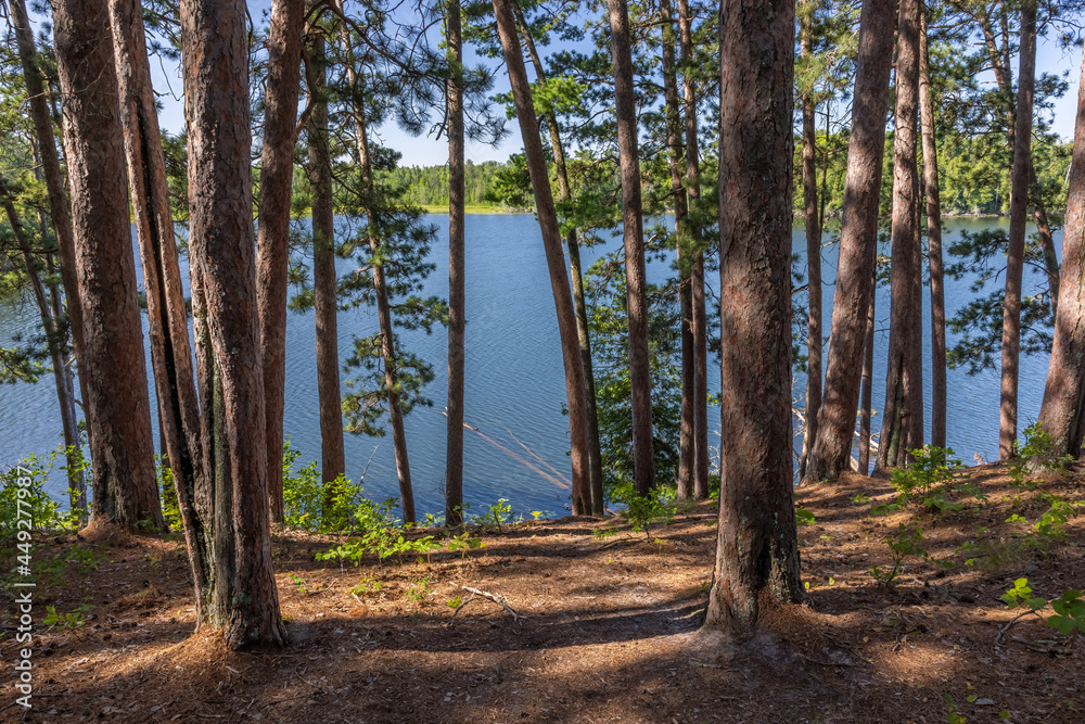 Lake Coon and Pine Forest