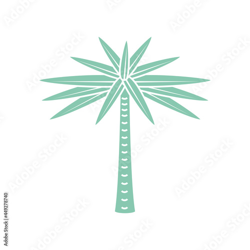 palm tree tropical