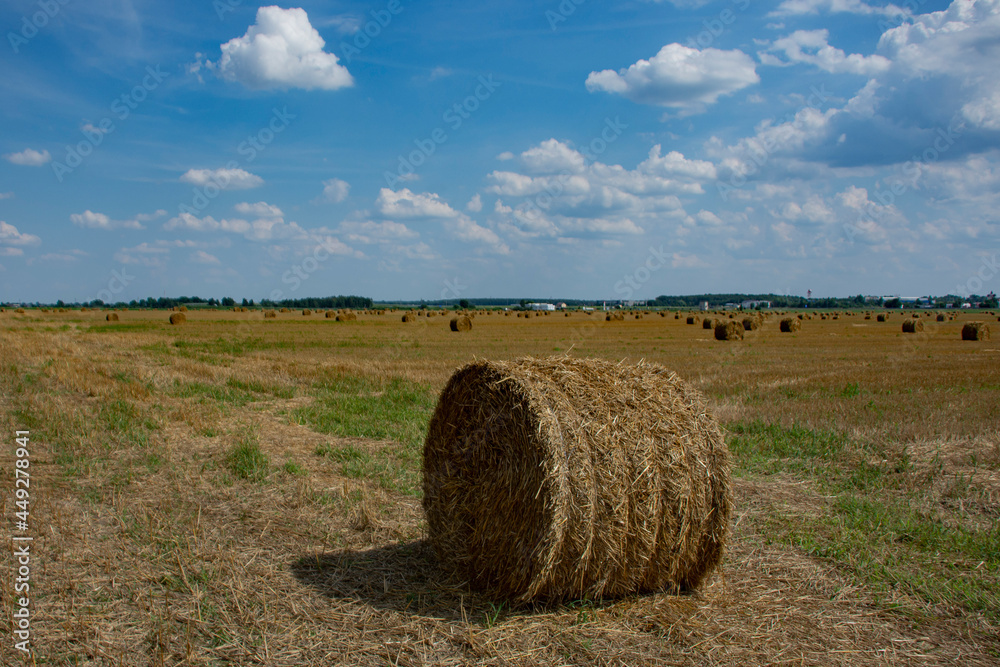 Haystacks are collected from the field in summer against the background of the sky with clouds. Haystacks are collected from the field in summer against the background of the sky with clouds.