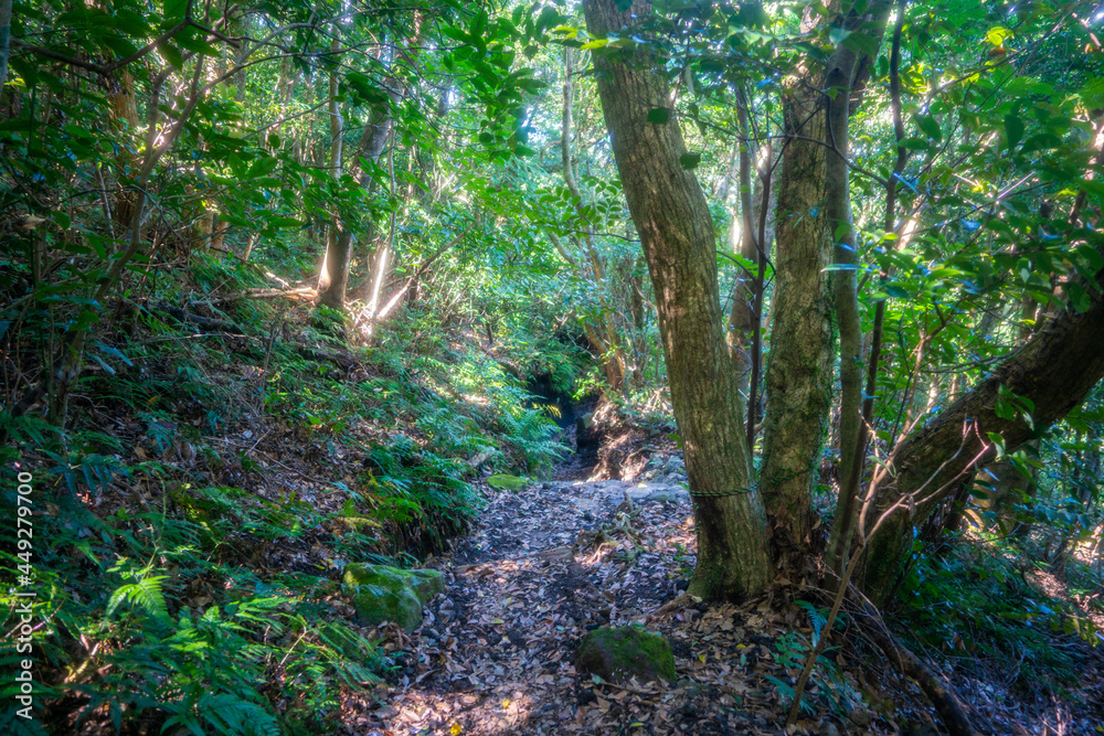 鹿児島県指宿市の開聞岳を登山している風景 A view of climbing Mt. Kaimon in Ibusuki City, Kagoshima Prefecture, Japan. 鹿児島県指宿市の開聞岳を登山している風景 A view of climbing Mt. Kaimon in Ibusuki City, Kagoshima Prefecture, Japan.