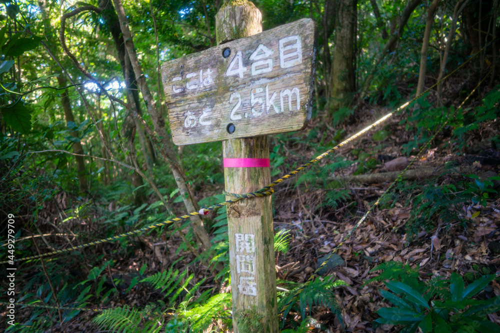 鹿児島県指宿市の開聞岳を登山している風景 A view of climbing Mt. Kaimon in Ibusuki City, Kagoshima Prefecture, Japan. 鹿児島県指宿市の開聞岳を登山している風景 A view of climbing Mt. Kaimon in Ibusuki City, Kagoshima Prefecture, Japan.
