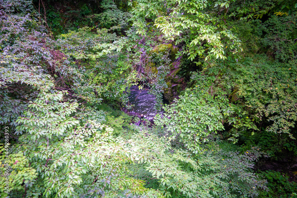Obraz premium 東京都西多摩郡奥多摩町の川苔山に登山している風景 Scenery of climbing Mt. Kawanori-yama in Okutama-cho, Nishitama-gun, Tokyo.