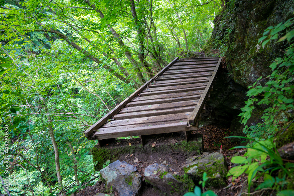 東京都西多摩郡奥多摩町の川苔山に登山している風景 Scenery of climbing Mt. Kawanori-yama in Okutama-cho, Nishitama-gun, Tokyo. 東京都西多摩郡奥多摩町の川苔山に登山している風景 Scenery of climbing Mt. Kawanori-yama in Okutama-cho, Nishitama-gun, Tokyo.