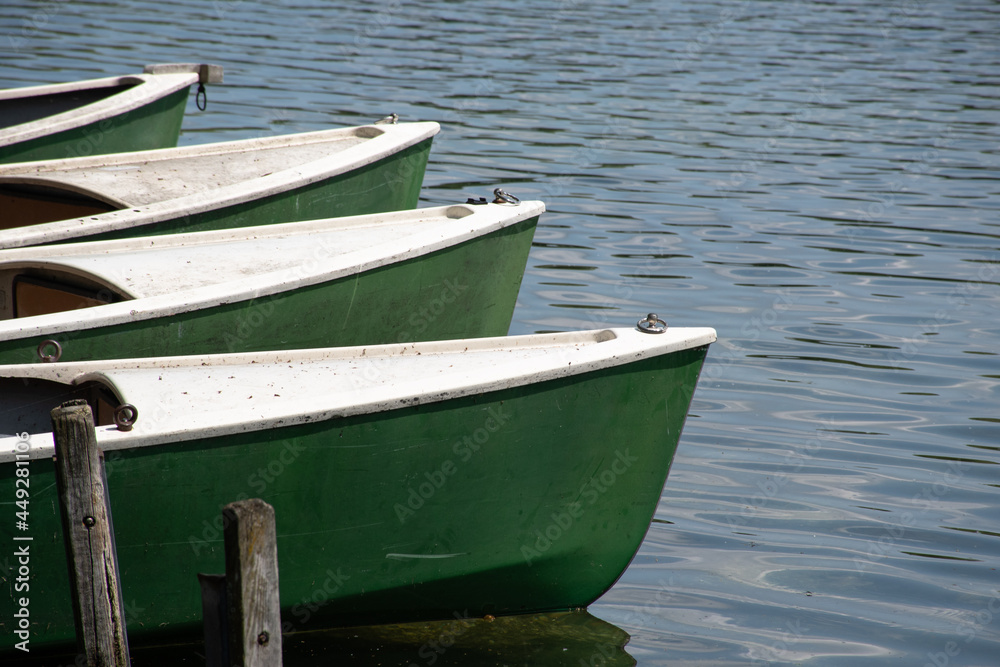 Bows of four green and white docked rowing boats on a lake in Bavaria, Germany, in summer