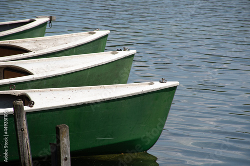 Bows of four green and white docked rowing boats on a lake in Bavaria  Germany  in summer