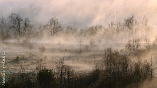 A frost covered landscape during a foggy April morning