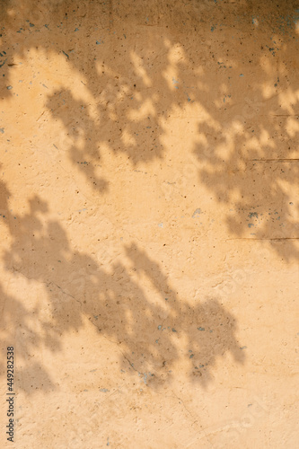 The shadow of the tree leaves on the old beige wall.