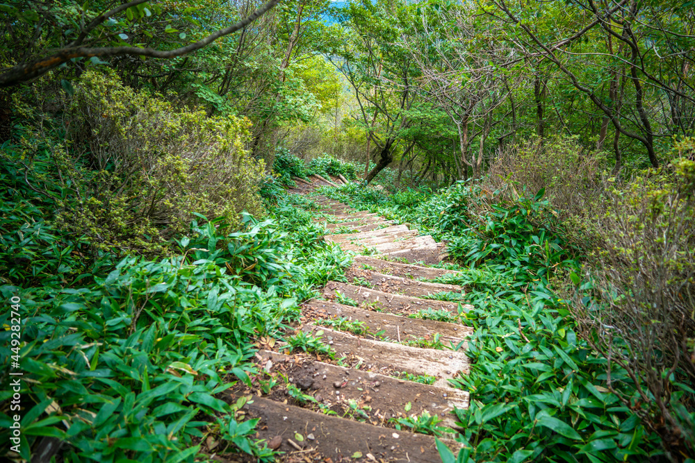 群馬県前橋市、桐生市にある赤城山、黒檜山、地蔵岳を登山している風景 Scenery of climbing Mt. Akagi, Mt. Kurobi-san and Mt. Jizo-dake in Maebashi and Kiryu, Gunma Prefecture. 群馬県前橋市、桐生市にある赤城山、黒檜山、地蔵岳を登山している風景 Scenery of climbing Mt. Akagi, Mt. Kurobi-san and Mt. Jizo-dake in Maebashi and Kiryu, Gunma Prefecture.