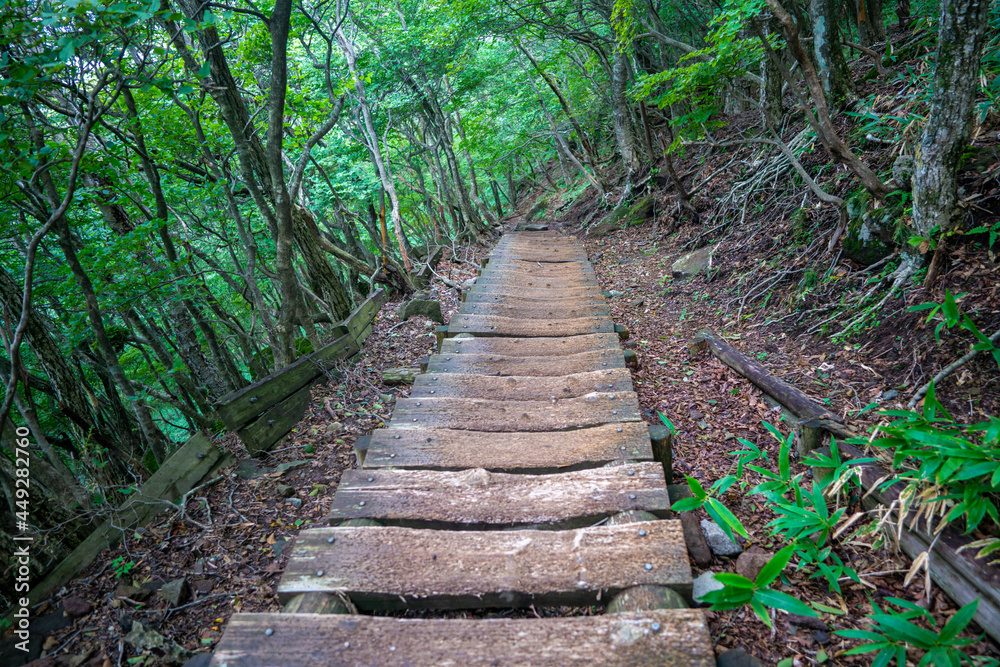 群馬県前橋市、桐生市にある赤城山、黒檜山、地蔵岳を登山している風景 Scenery of climbing Mt. Akagi, Mt. Kurobi-san and Mt. Jizo-dake in Maebashi and Kiryu, Gunma Prefecture. 群馬県前橋市、桐生市にある赤城山、黒檜山、地蔵岳を登山している風景 Scenery of climbing Mt. Akagi, Mt. Kurobi-san and Mt. Jizo-dake in Maebashi and Kiryu, Gunma Prefecture.