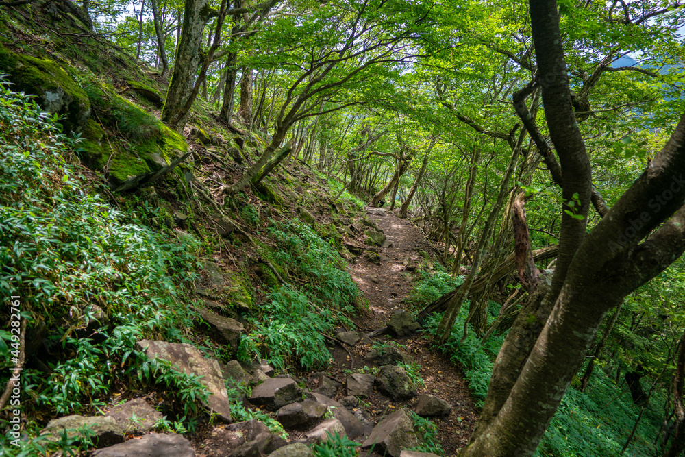 群馬県前橋市、桐生市にある赤城山、黒檜山、地蔵岳を登山している風景 Scenery of climbing Mt. Akagi, Mt. Kurobi-san and Mt. Jizo-dake in Maebashi and Kiryu, Gunma Prefecture. 群馬県前橋市、桐生市にある赤城山、黒檜山、地蔵岳を登山している風景 Scenery of climbing Mt. Akagi, Mt. Kurobi-san and Mt. Jizo-dake in Maebashi and Kiryu, Gunma Prefecture.
