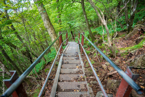                                                                                                      Scenery of climbing Mt. Akagi  Mt. Kurobi-san and Mt. Jizo-dake in Maebashi and Kiryu  Gunma Prefecture. 