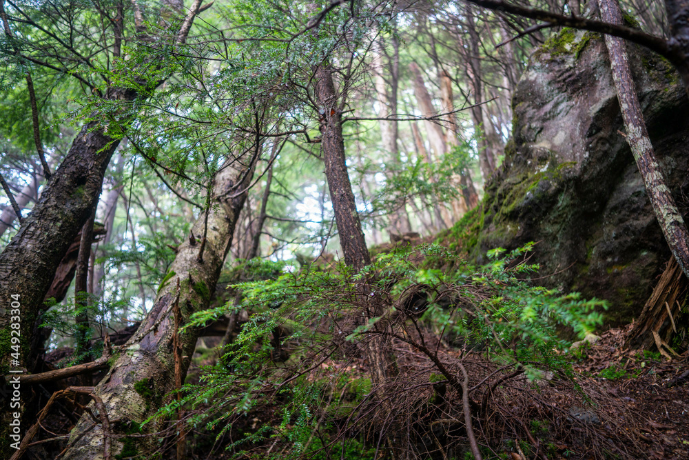 栃木県日光市の男体山に登山している風景 A view of climbing Mt. Ottai in Nikko City, Tochigi Prefecture. 栃木県日光市の男体山に登山している風景 A view of climbing Mt. Ottai in Nikko City, Tochigi Prefecture.