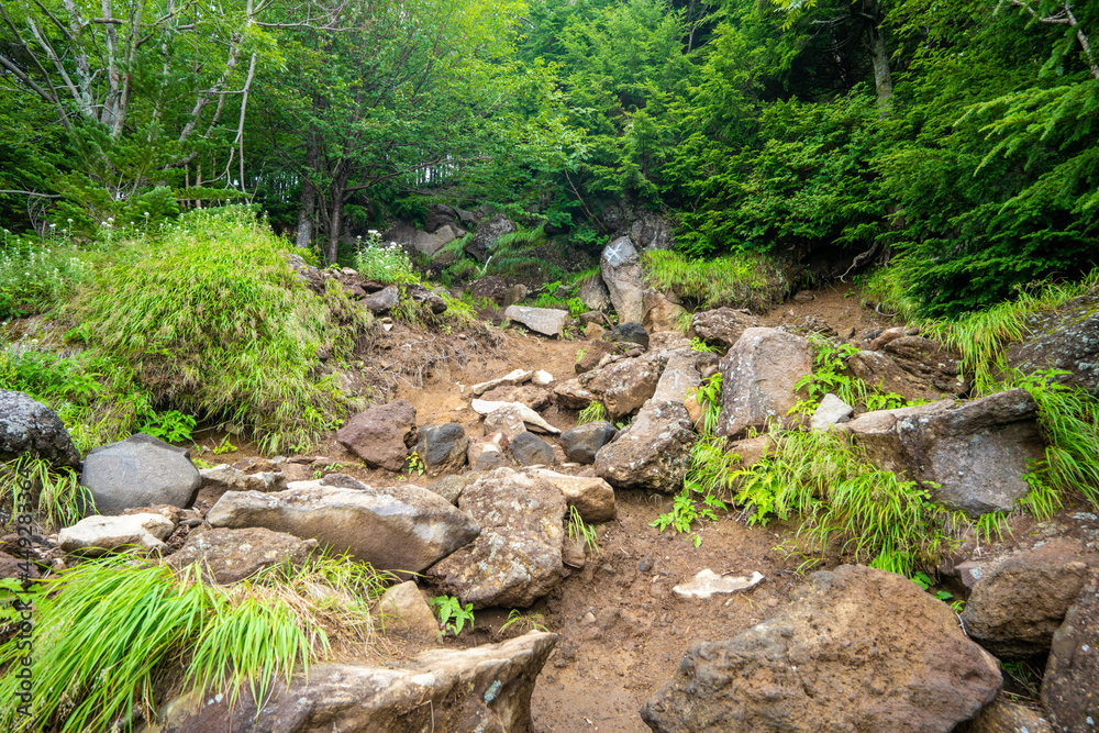栃木県日光市の男体山に登山している風景  A view of climbing Mt. Ottai in Nikko City, Tochigi Prefecture. 