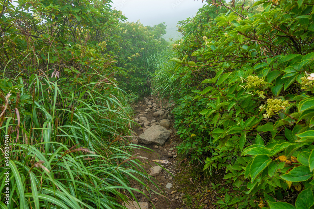 大分県玖珠郡九重町、竹田市久住町のくじゅう連山を登山している風景 A scene of climbing the Kujyu mountain range in Kusu-gun, Kokonoe-machi and Takeda-shi, Oita Prefecture. 大分県玖珠郡九重町、竹田市久住町のくじゅう連山を登山している風景 A scene of climbing the Kujyu mountain range in Kusu-gun, Kokonoe-machi and Takeda-shi, Oita Prefecture.