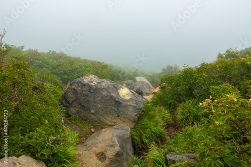                                                                                                  A scene of climbing the Kujyu mountain range in Kusu-gun  Kokonoe-machi and Takeda-shi  Oita Prefecture. 