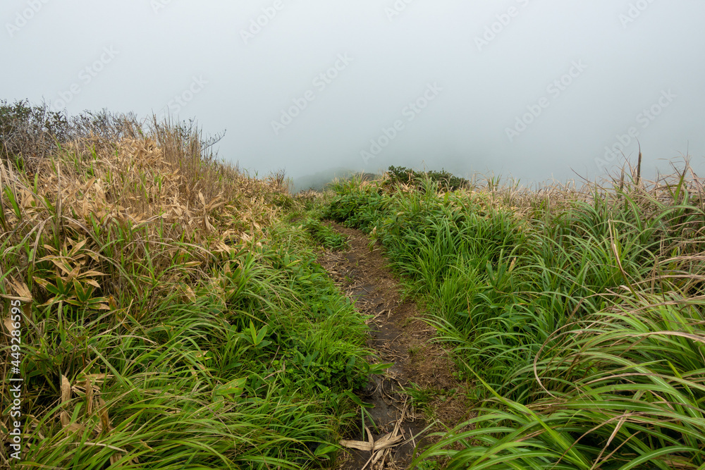 熊本県阿蘇市の烏帽子岳、阿蘇山を登山をしている風景 Scenery of climbing Mount Eboshi-dake and Mount Aso in Aso City, Kumamoto Prefecture. 熊本県阿蘇市の烏帽子岳、阿蘇山を登山をしている風景 Scenery of climbing Mount Eboshi-dake and Mount Aso in Aso City, Kumamoto Prefecture.