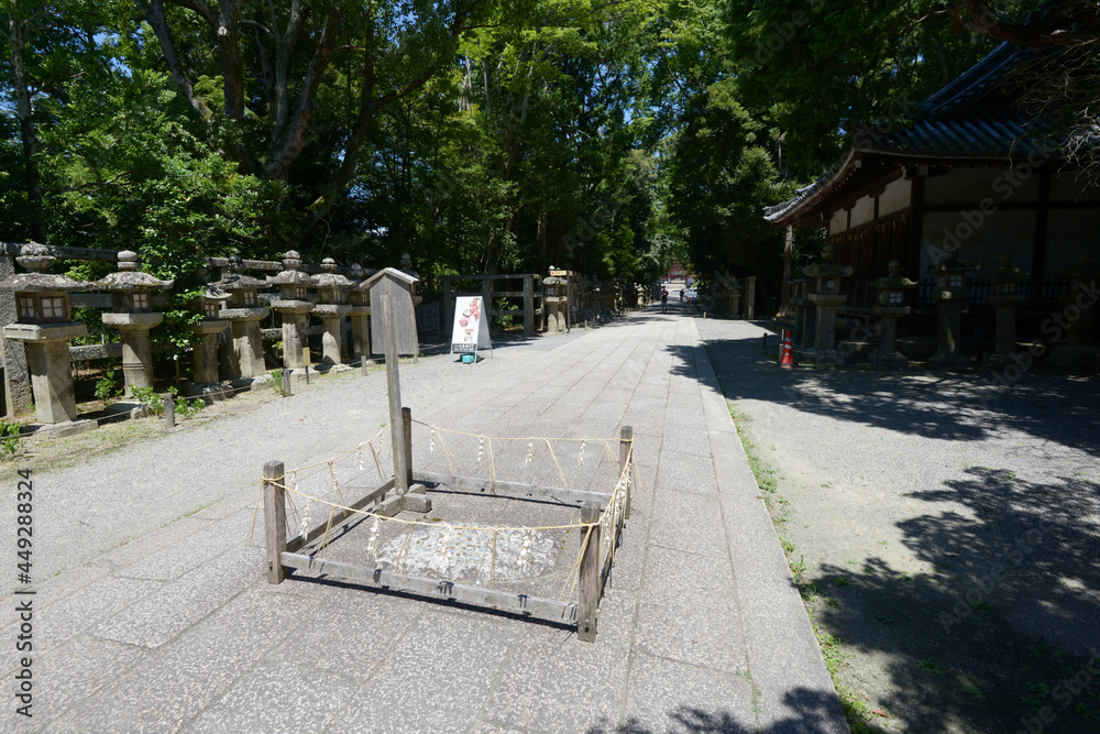 Fototapeta premium 石清水八幡宮 一ツ石と参道 京都府八幡市