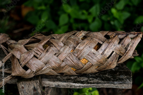 Champada, a fruit with a strong smell of the south, resembles a jackfruit covered with coconut leaves that are woven with milk.
