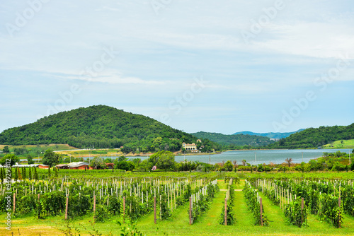 Pattaya Thailand August 02 2019  beautiful building in Silverlake vineyard at pattaya thailand.