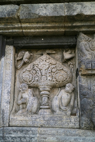 Yogyakarta Indonesia May 5, 2021 Antique and classic reliefs at Prambanan Temple, this area is now become a historical tourist spot for tourists