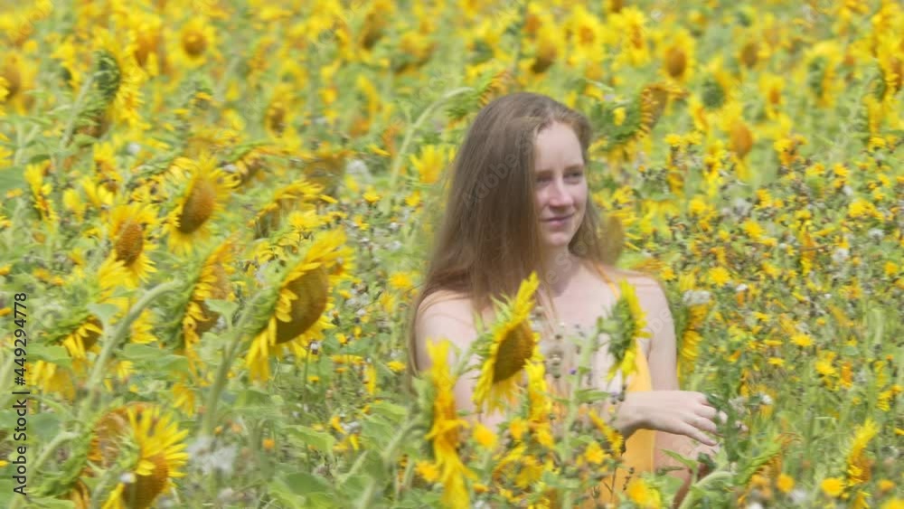 A beautiful girl walks through a blooming sunflower field and adjusts her hair with her hand. Siberia. The camera is moving. A beautiful girl walks through a blooming sunflower field and adjusts her hair with her hand. Siberia. The camera is moving.