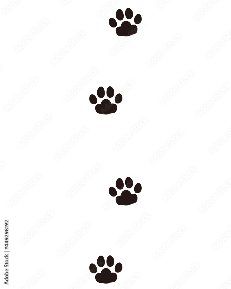 動物の足跡　猫のあしあと　猫の肉球