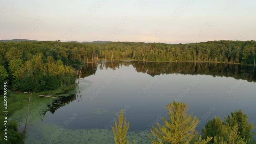 Aerial view of green forest, inland lakes in state Michigan at sunset Aerial view of green forest, inland lakes in state Michigan at sunset