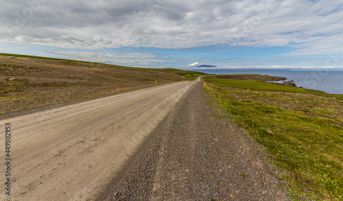 Straight gravel road across icelandic meadows near shore