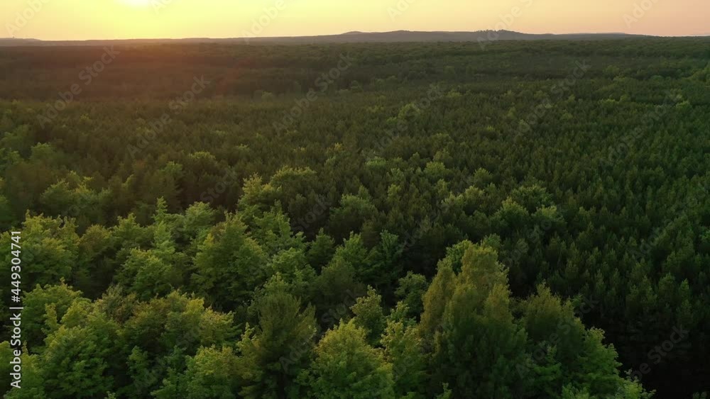 Aerial view of green forest in state Michigan at sunset. Flying over trees. Summer, sunlight, golden hour Aerial view of green forest in state Michigan at sunset. Flying over trees. Summer, sunlight, golden hour