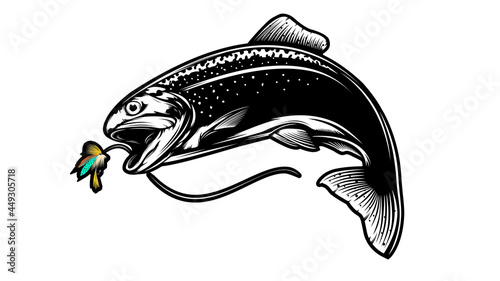 Rainbow trout jumping out water.Salmon isolated on white background. Concept art for horoscope, tattoo or colouring book.