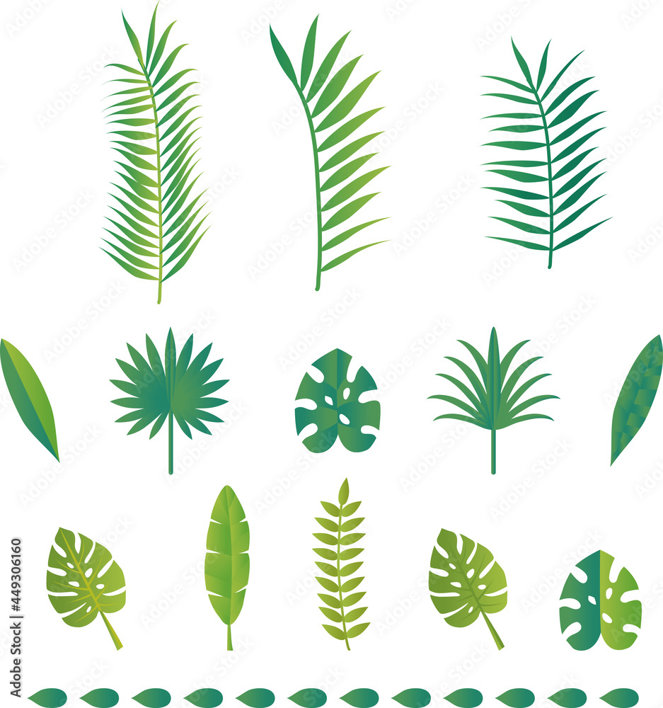 夏 葉 植物 自然 ボタニカル 南国 イラスト素材セット Stock Vector Adobe Stock