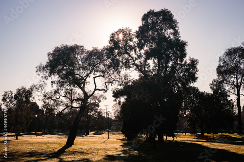 Sunrise in the park