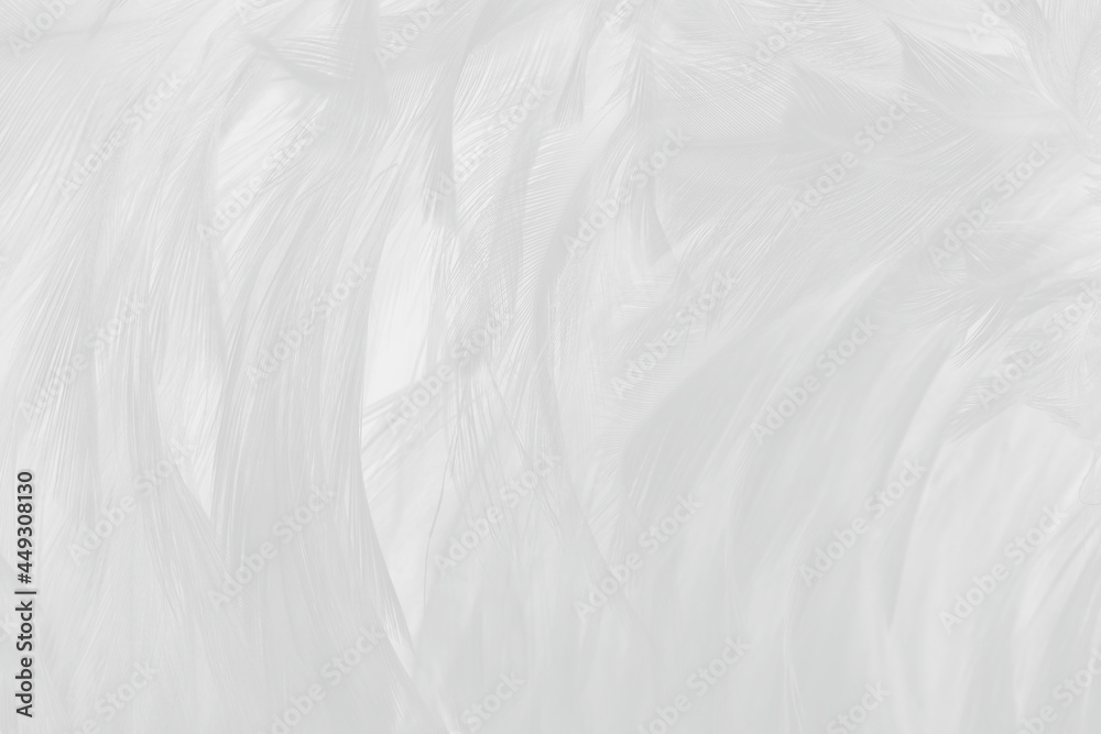 white feather wooly pattern texture background white feather wooly pattern texture background