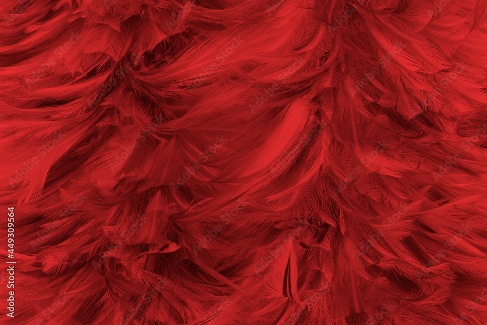 Beautiful dark red  feather pattern texture background