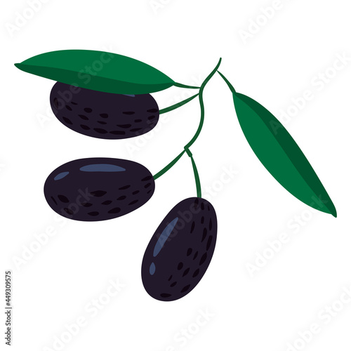 Olive branch, natural healthy organic nutrition product. Vector doodle cartoon flat trendy illustration hand drawn isolated