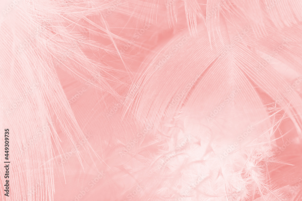 Beautiful soft pink feather pattern texture background Beautiful soft pink feather pattern texture background