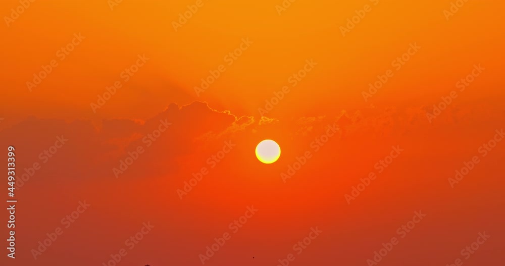 Golden sun rising in the sky with clouds and flying birds