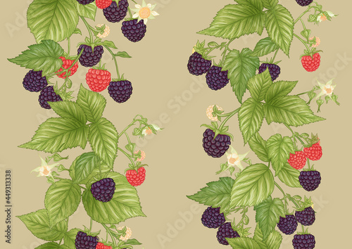 Blackberry. Ripe berries on branch. Seamless pattern, background. Graphic drawing, engraving style. Vector illustration on kraft color background..
