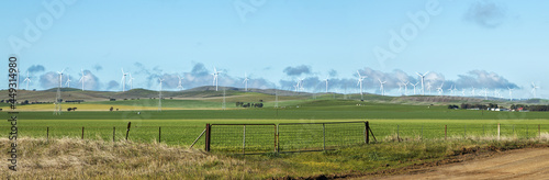 Wind farm on hills with green paddocks in front photo