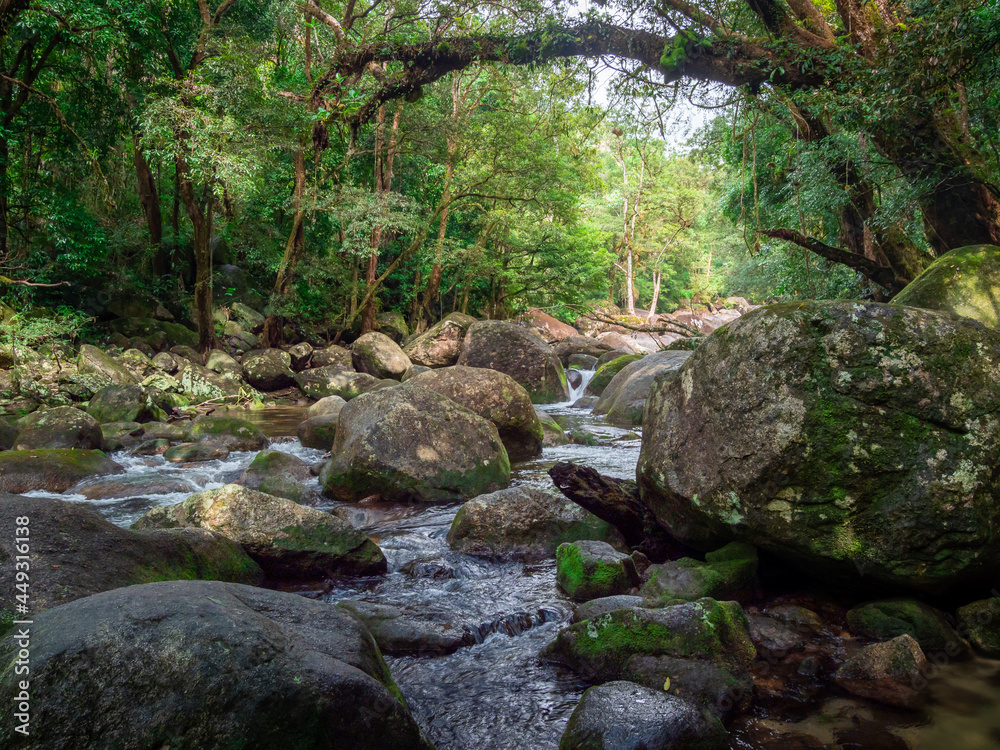 River with Boulders and Surrounding Rainforest River with Boulders and Surrounding Rainforest