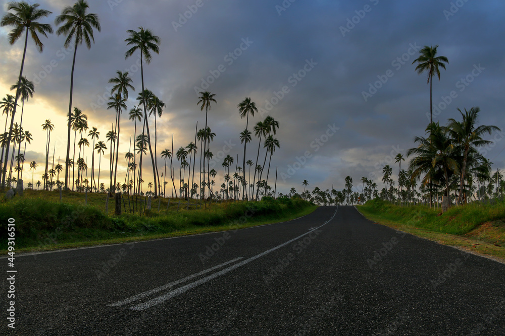 road lined with palms at sunset in vanuatu