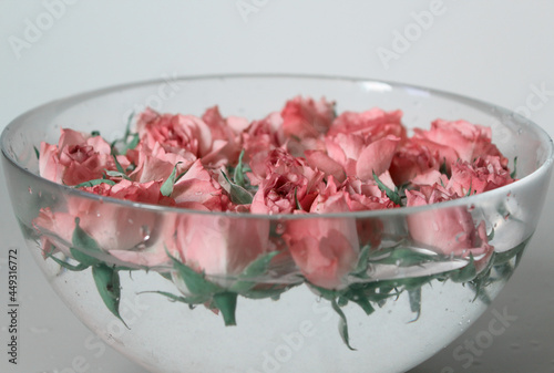 plate, red, vegetarian, Rose, water