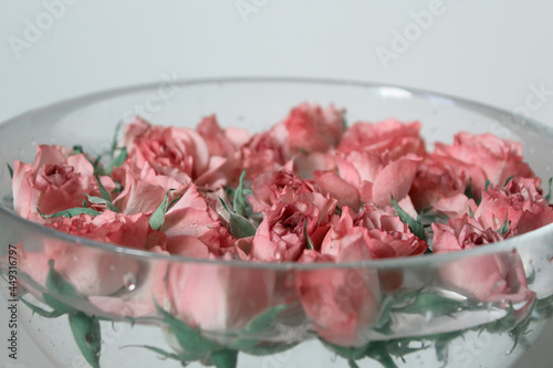 plate, red, vegetarian, Rose, water