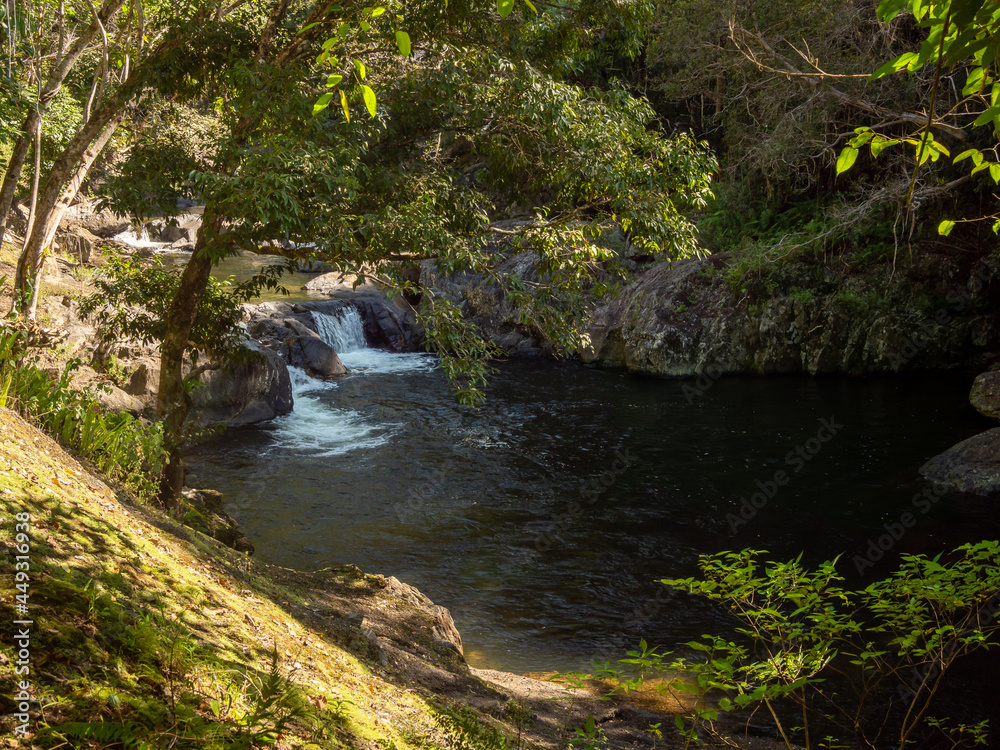 Stream with Cascades, Rocks and Tropical Rainforest
