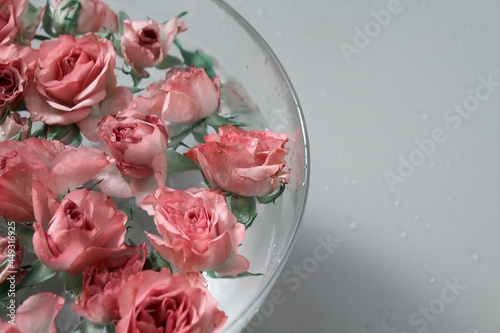 plate, red, vegetarian, Rose, water