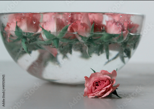 plate, red, vegetarian, Rose, water