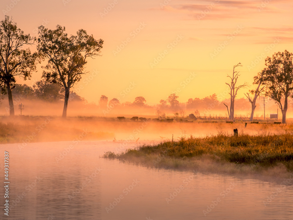 Misty River Sunrise