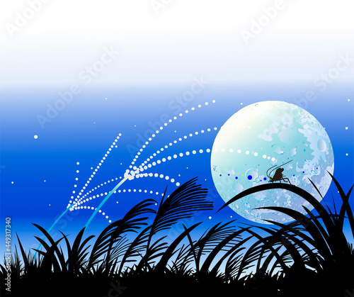 秋の虫と満月の夜のススキ